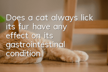 Does a cat always lick its fur have any effect on its gastrointestinal condition?