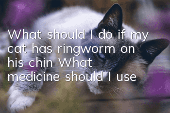 What should I do if my cat has ringworm on his chin? What medicine should I use?