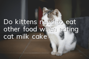 Do kittens need to eat other food when eating cat milk cake?