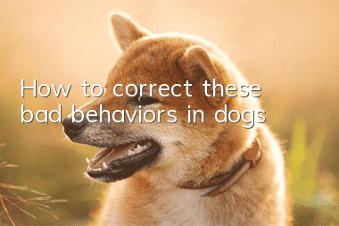 How to correct these bad behaviors in dogs