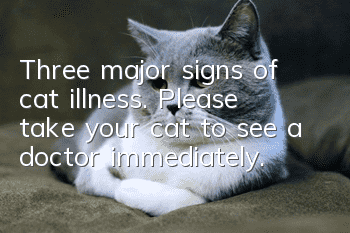 Three major signs of cat illness. Please take your cat to see a doctor immediately.
