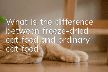 What is the difference between freeze-dried cat food and ordinary cat food?