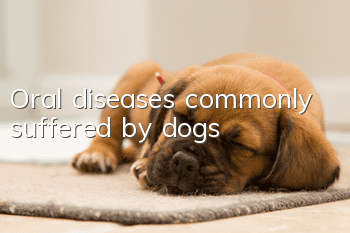 Oral diseases commonly suffered by dogs