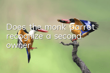 Does the monk parrot recognize a second owner?