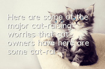 Here are some of the major cat-raising worries that cat owners have, here are some cat-raising strategies