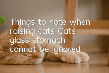 Things to note when raising cats: Cats’ “glass stomach” cannot be ignored