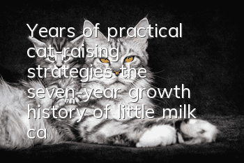 Years of practical cat-raising strategies: the seven-year growth history of little milk cat Baozi