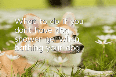 What to do if you don’t have dog shower gel when bathing your dog?