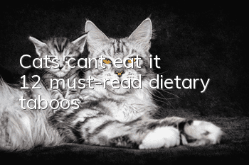 Cats can’t eat it? 12 must-read dietary taboos