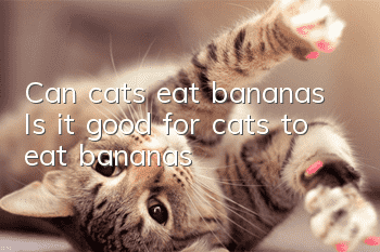Can cats eat bananas? Is it good for cats to eat bananas?