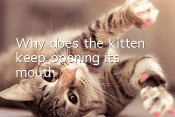 Why does the kitten keep opening its mouth?