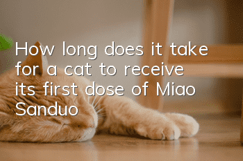 How long does it take for a cat to receive its first dose of Miao Sanduo?