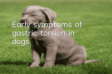 Early symptoms of gastric torsion in dogs