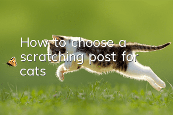 How to choose a scratching post for cats?
