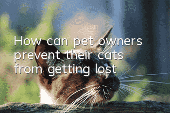 How can pet owners prevent their cats from getting lost?