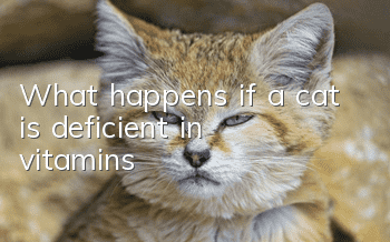 What happens if a cat is deficient in vitamins?