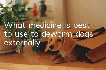 What medicine is best to use to deworm dogs externally?