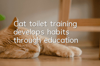 Cat toilet training develops habits through education