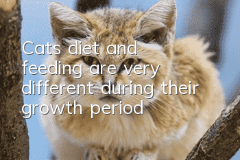 Cats’ diet and feeding are very different during their growth period