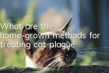 What are the home-grown methods for treating cat plague?