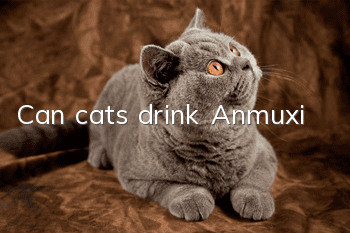 Can cats drink Anmuxi?