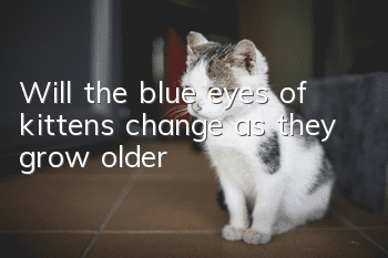 Will the blue eyes of kittens change as they grow older?