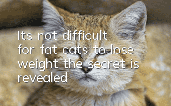 It’s not difficult for fat cats to lose weight, the secret is revealed
