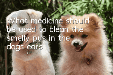What medicine should be used to clean the smelly pus in the dog's ears?