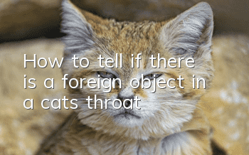 How to tell if there is a foreign object in a cat's throat?