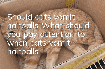 Should cats vomit hairballs? What should you pay attention to when cats vomit hairballs?