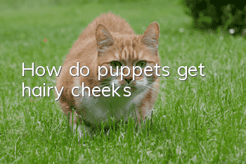 How do puppets get hairy cheeks?