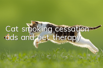 Cat smoking cessation ads and pet therapy