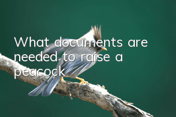 What documents are needed to raise a peacock?