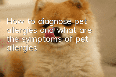 How to diagnose pet allergies and what are the symptoms of pet allergies?