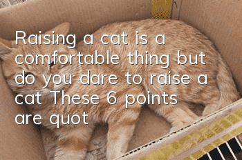 Raising a cat is a comfortable thing, but do you dare to raise a cat? These 6 points are "scary"