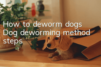 How to deworm dogs? Dog deworming method steps