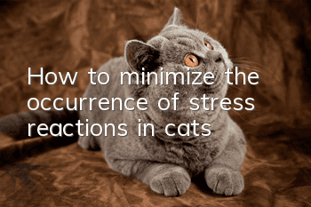 How to minimize the occurrence of stress reactions in cats