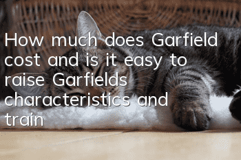 How much does Garfield cost and is it easy to raise? Garfield’s characteristics and training methods