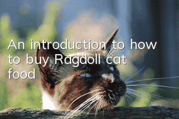 An introduction to how to buy Ragdoll cat food