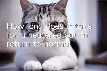 How long does it take for a neutered cat to return to normal?