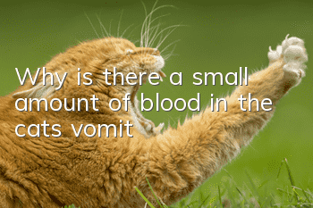 Why is there a small amount of blood in the cat's vomit?