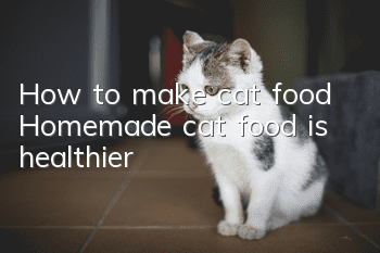 How to make cat food Homemade cat food is healthier