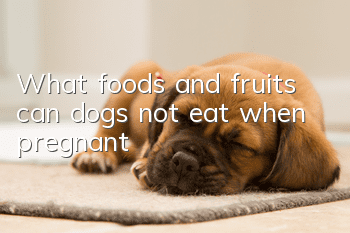What foods and fruits can dogs not eat when pregnant?