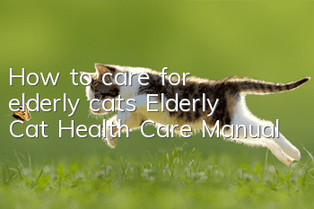How to care for elderly cats Elderly Cat Health Care Manual