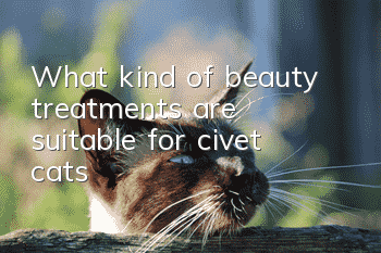 What kind of beauty treatments are suitable for civet cats?