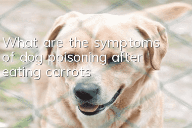 What are the symptoms of dog poisoning after eating carrots?