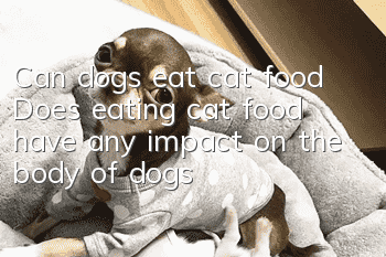 Can dogs eat cat food? Does eating cat food have any impact on the body of dogs?