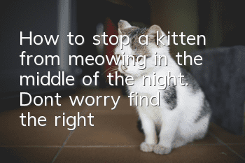 How to stop a kitten from meowing in the middle of the night. Don’t worry, find the right reason first.
