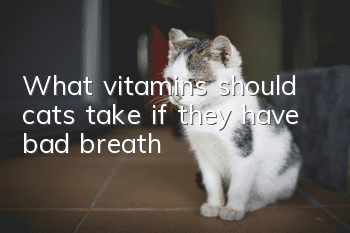 What vitamins should cats take if they have bad breath?