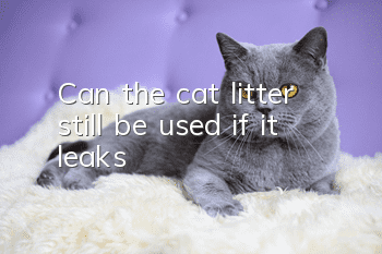 Can the cat litter still be used if it leaks?